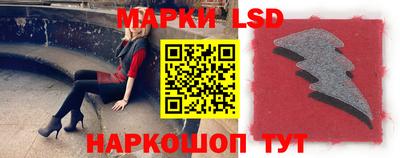apvp Можга
