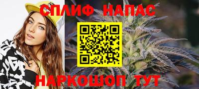 apvp Можга