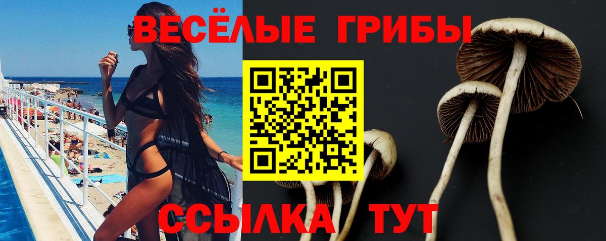 Псилоцибиновые грибы прущие грибы Воронеж